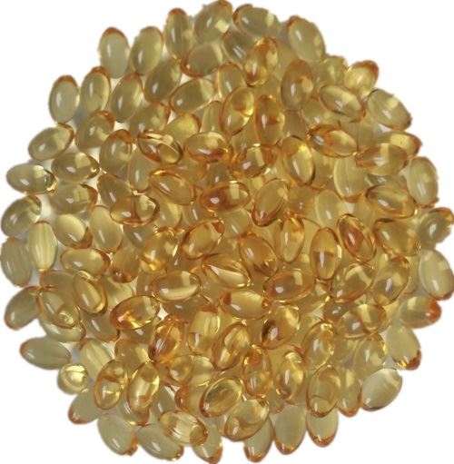 Reishi mushroom spore oil softgel