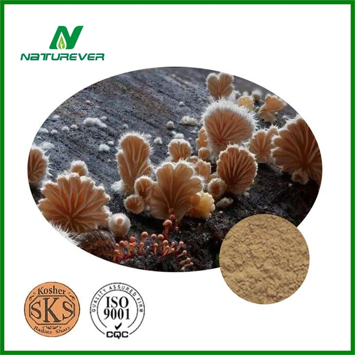 Suehirotake Mushroom Extract