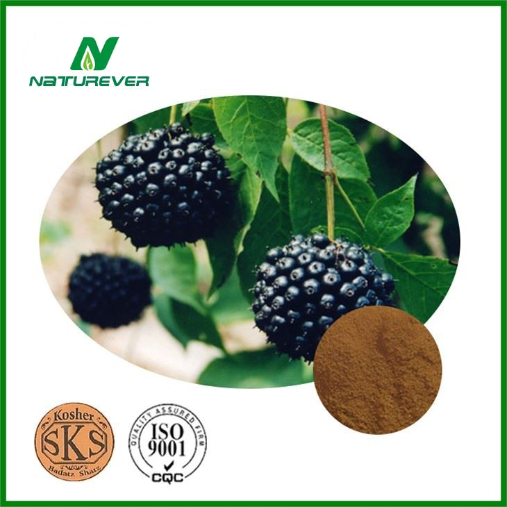 Siberian Ginseng Extract