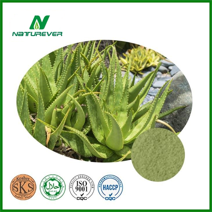 Pure AloeVera Extract