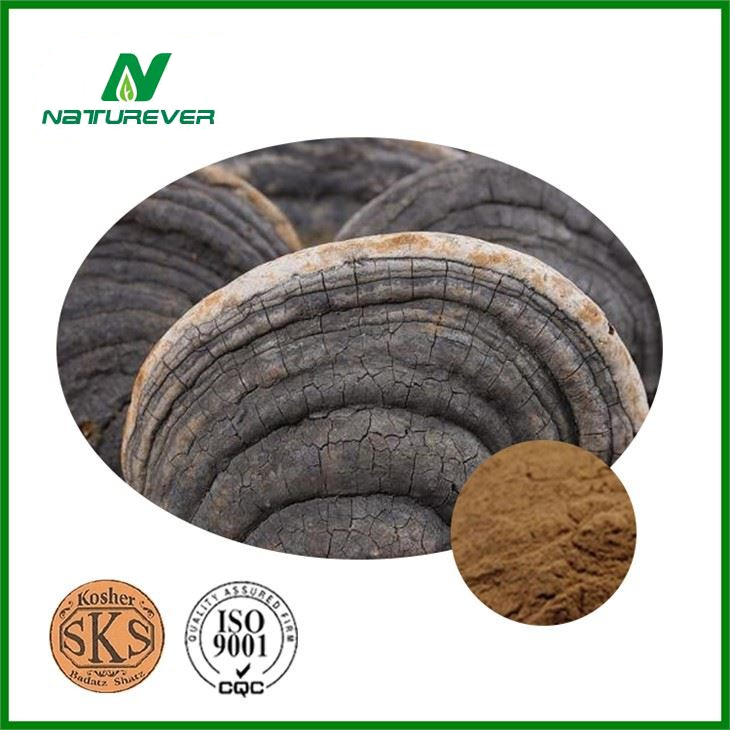 Meshima Mushroom Powder
