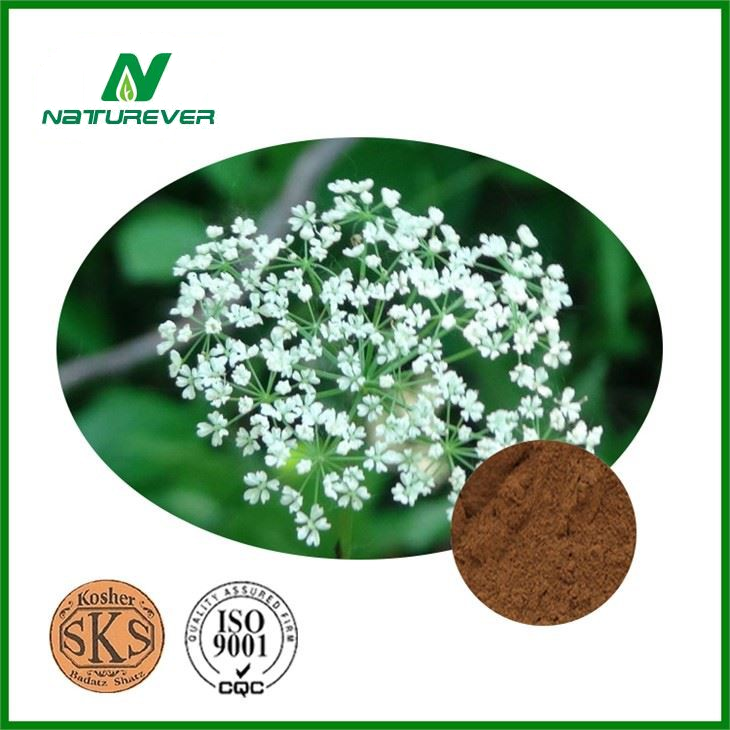 Common Cnidium Fruit Extract