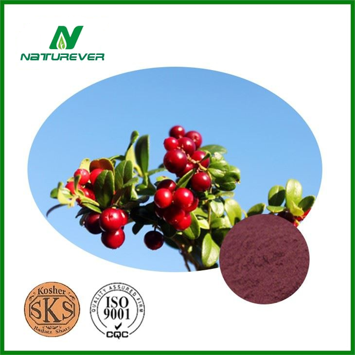 Cowberry Extract