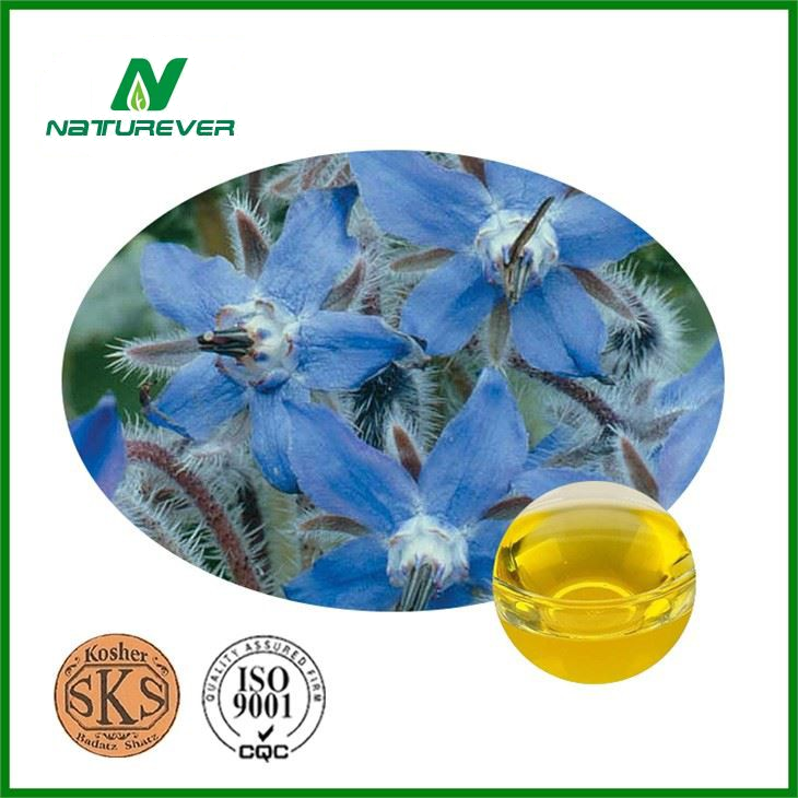 Borage Seed Oil Supplement