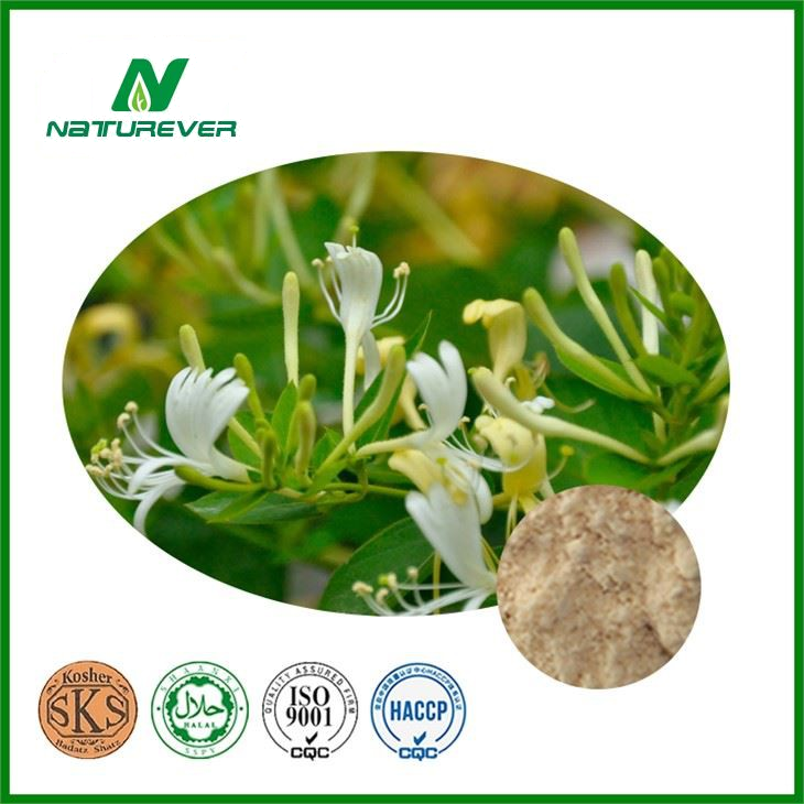 Honeysuckle Flower Extract