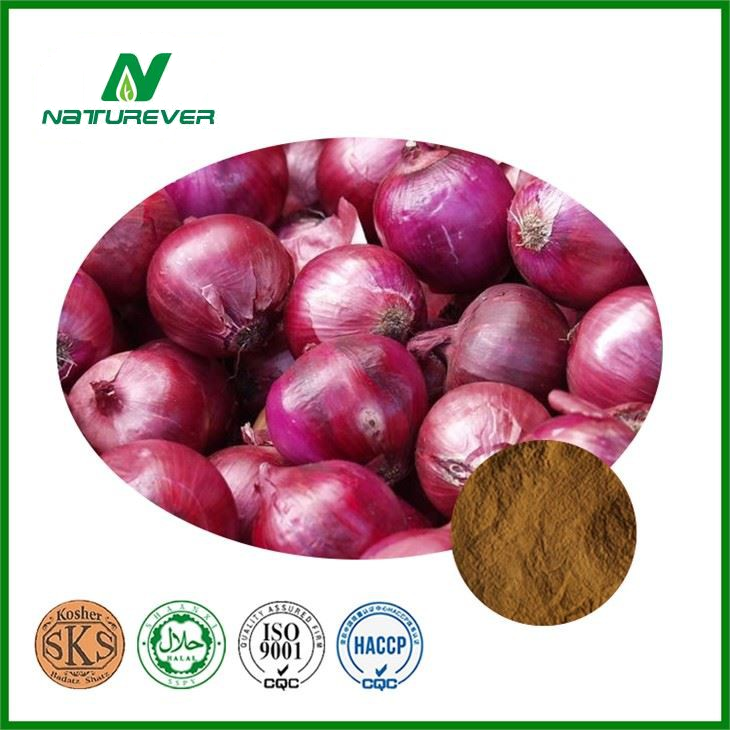 Onion Extract Powder