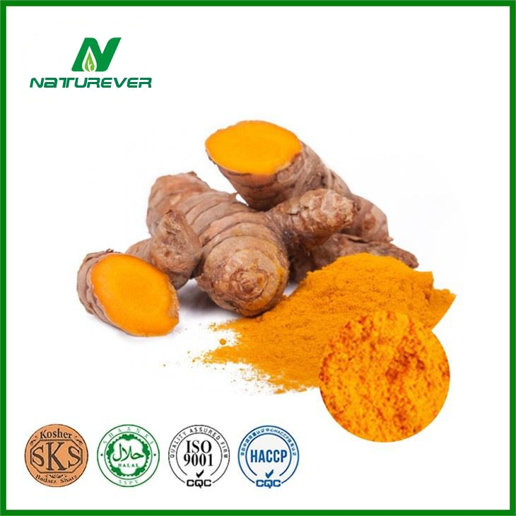 Turmeric Root Extract Powder