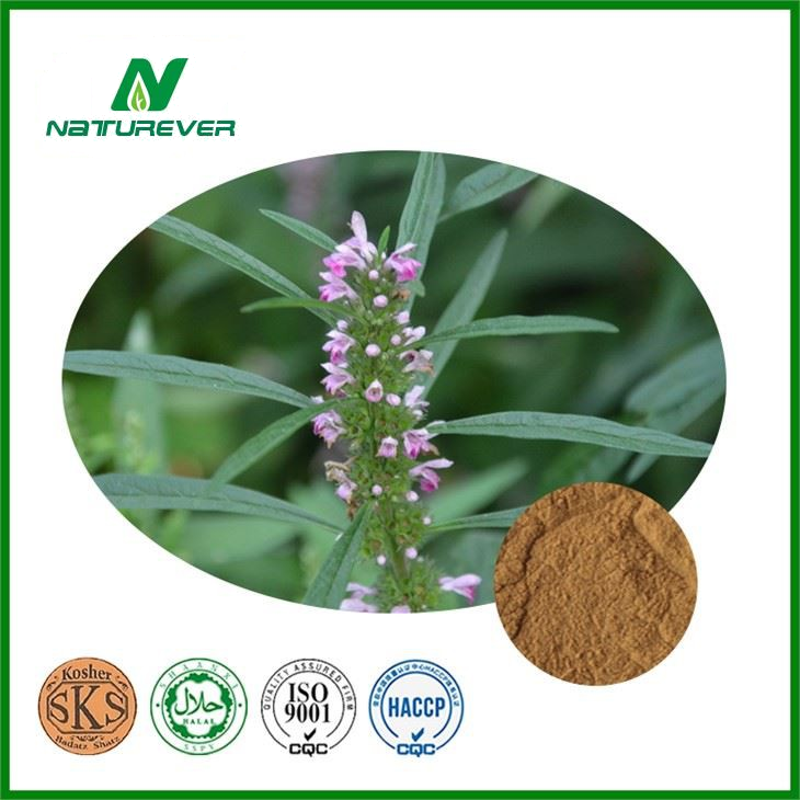 Motherwort Extract