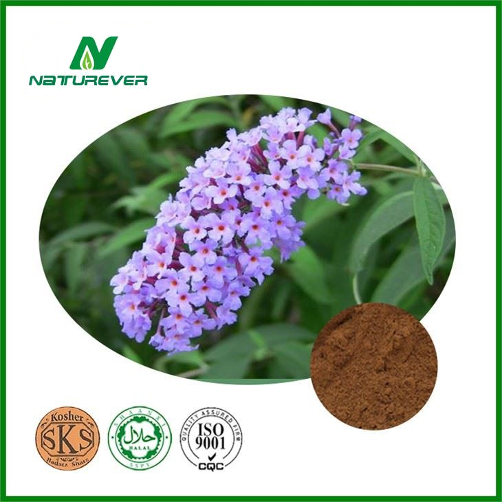 Buddleja Davidii Extract