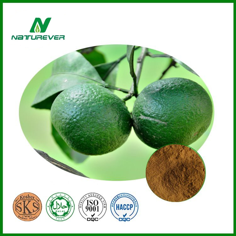 Citrus-Aurantium-Extract-6-98-Synephrine