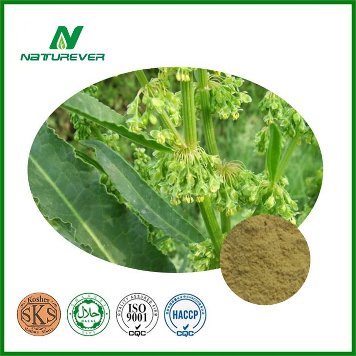 Rumex Acetosa Extract