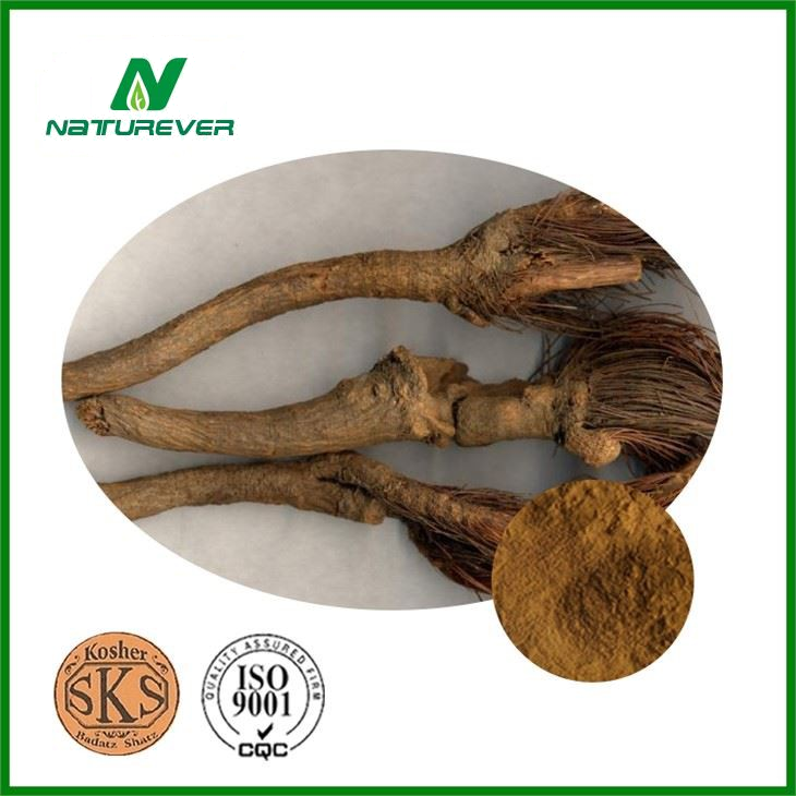 Maral Root Extract