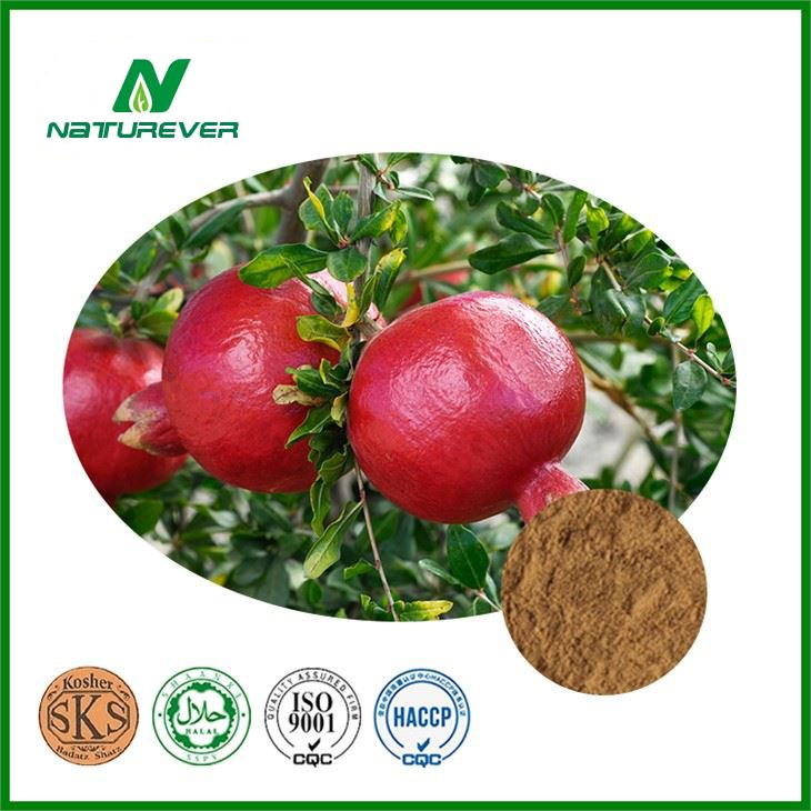 Pomegranate Extract Powder