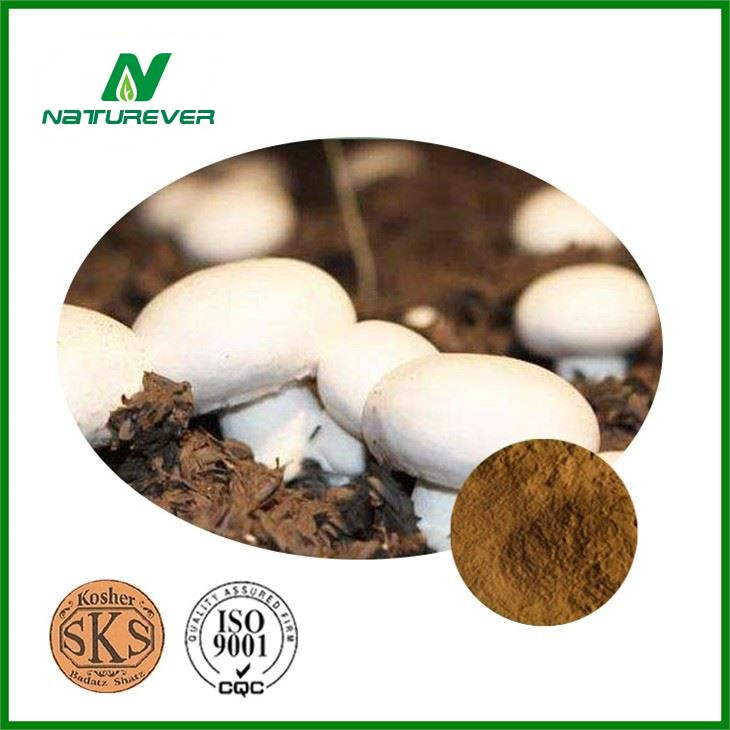 Agaricus Bisporus Powder