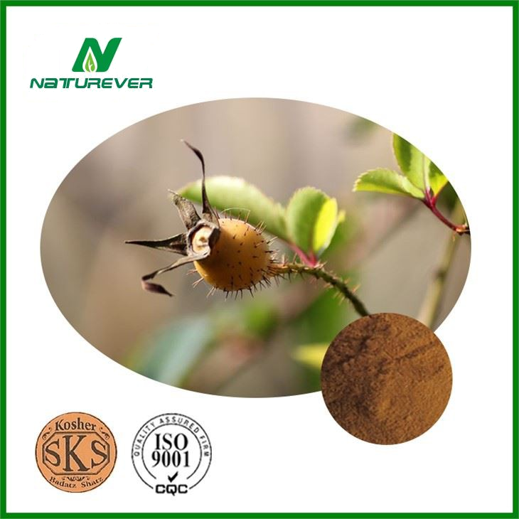 Fructus Rossea Extract