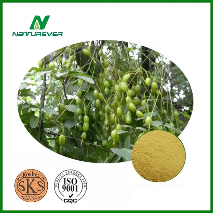 Sophora Fruit Extract