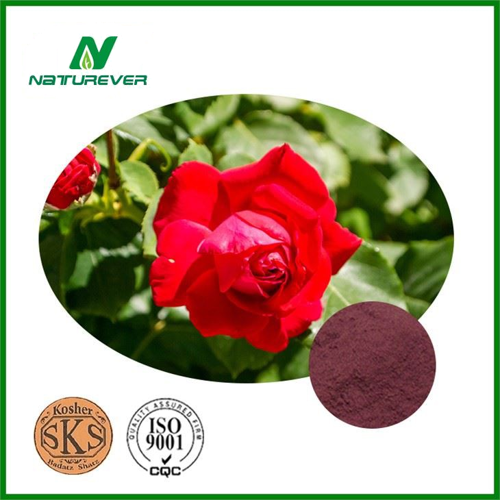 Rose Extract Powder