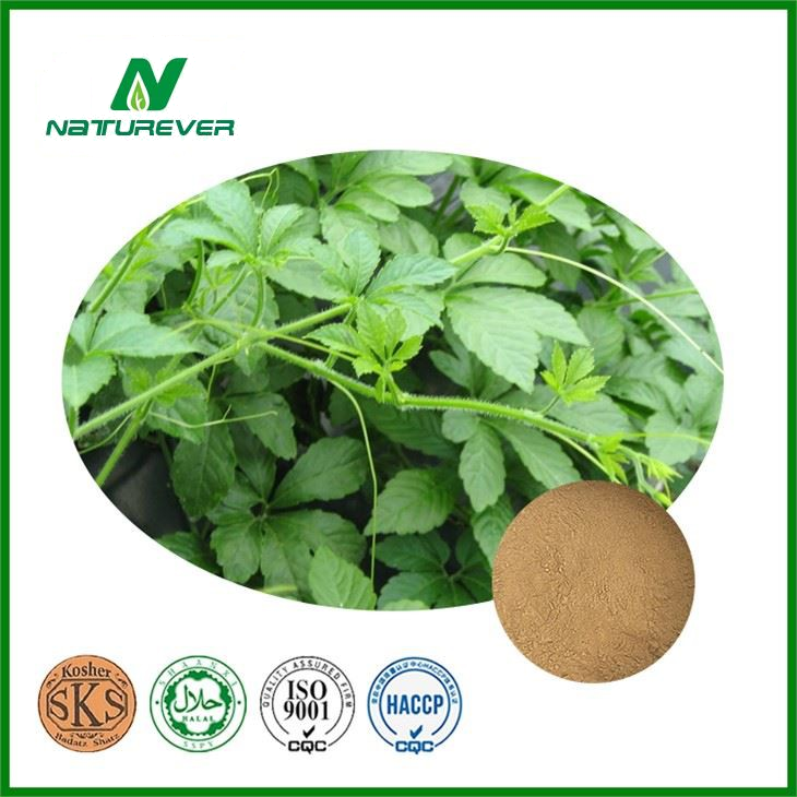 Gynostemma Extract