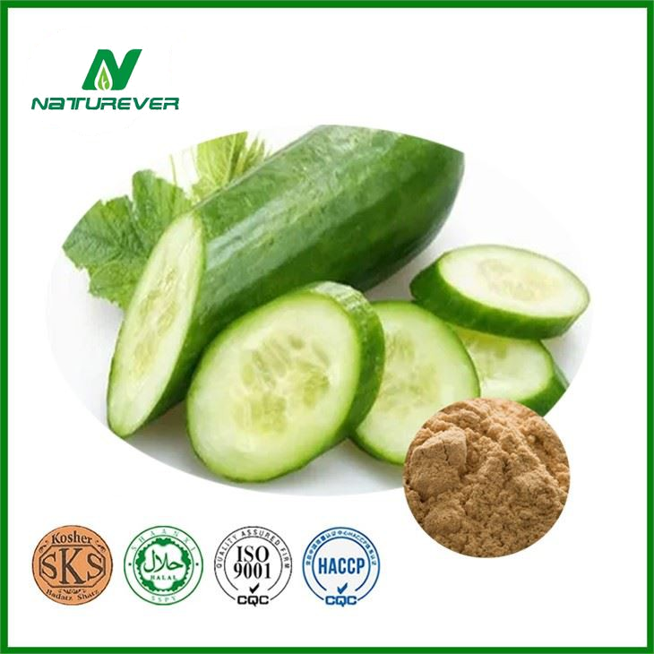 Cucumber Extract Powder