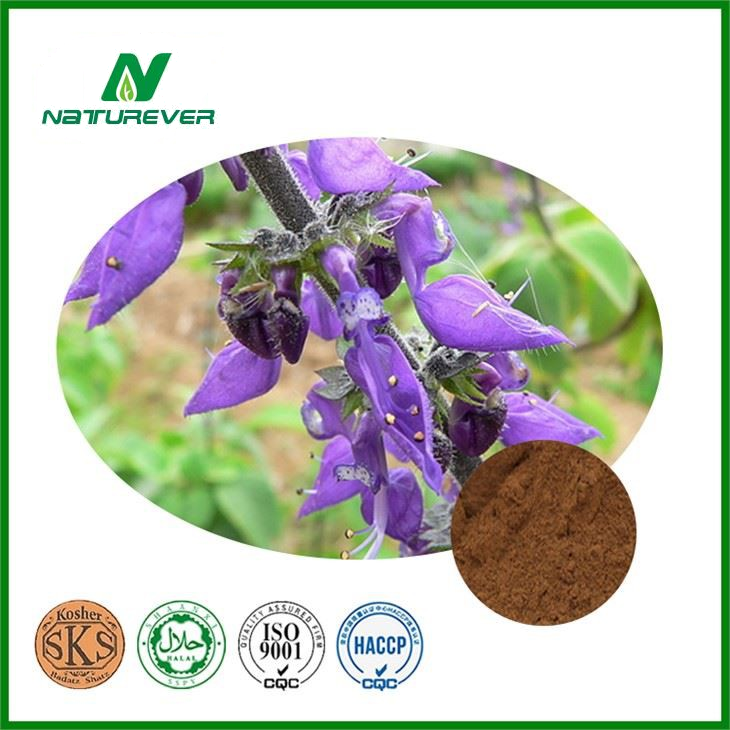 Coleus forskohlii Extract