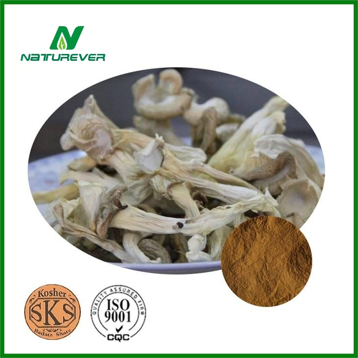 Oyster Mushroom Powder Extract
