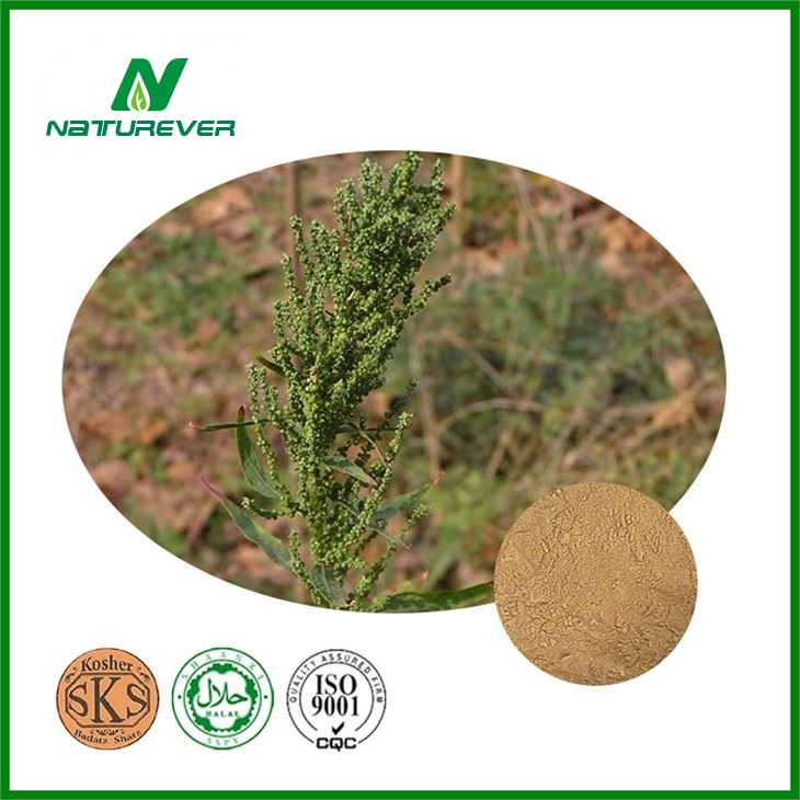 Epazote Seed Extract