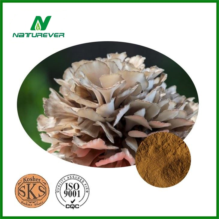 Maitake Mushroom Extract Powder