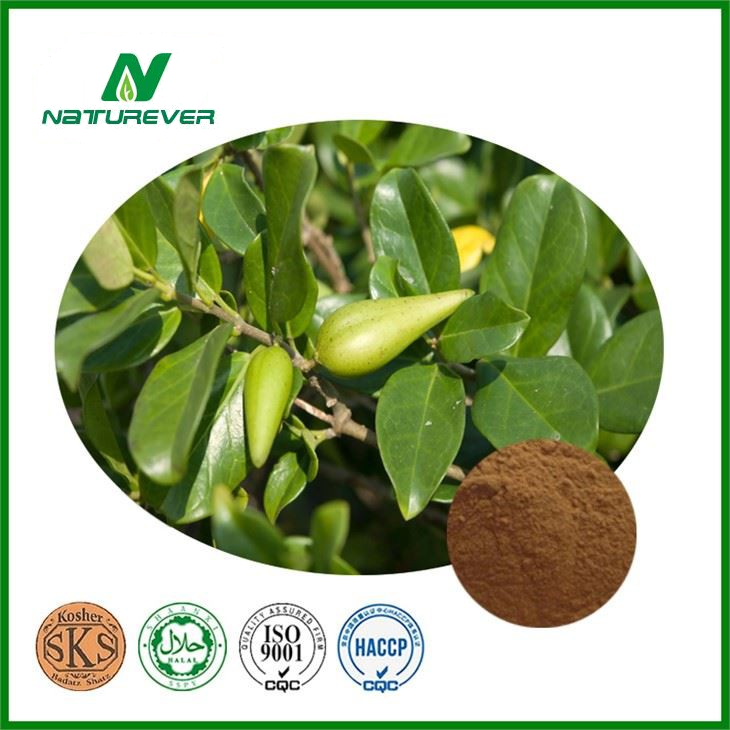 Gymnemic Acid Powder