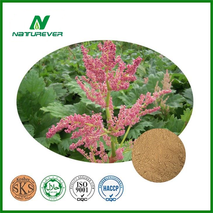 Rheum Extract