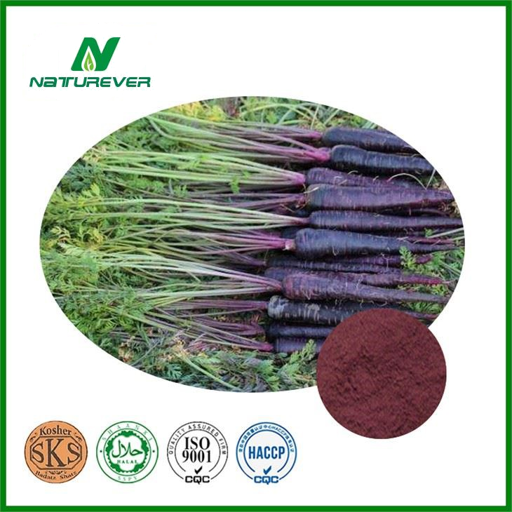 Black Carrot Extract Powder