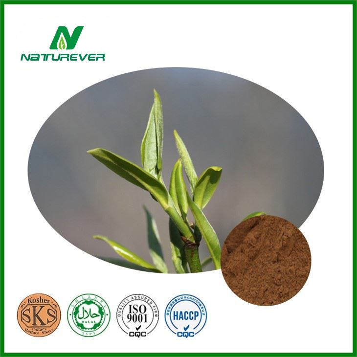 Black Tea Extract Powder