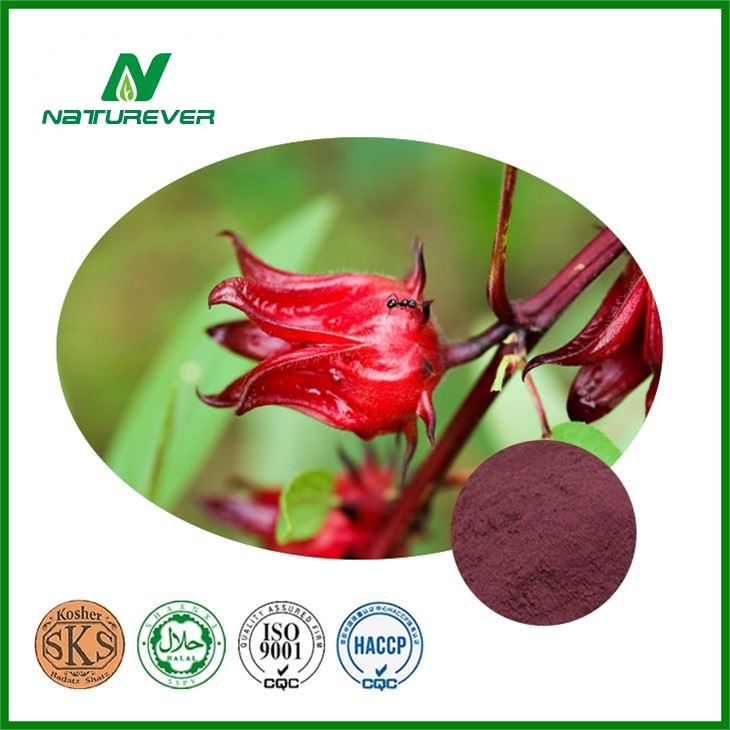 Hibiscus Roselle Extract