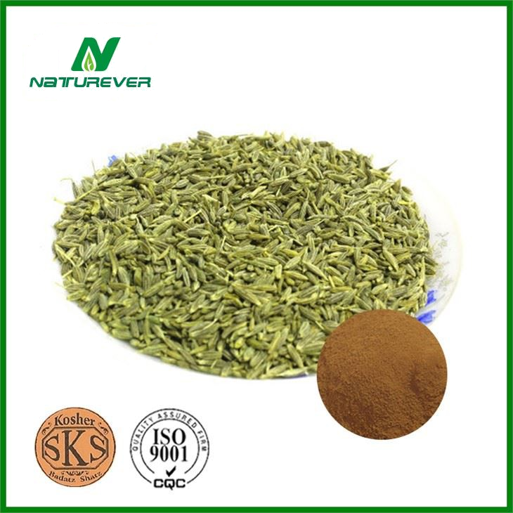 Fennel Seed Extract Supplement