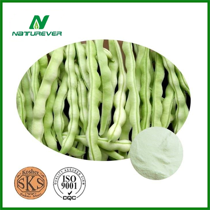 White Kidney Bean Powder