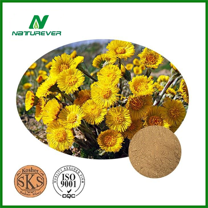 Tussilago Farfara Extract