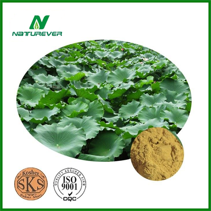 Lotus Leaf Extract