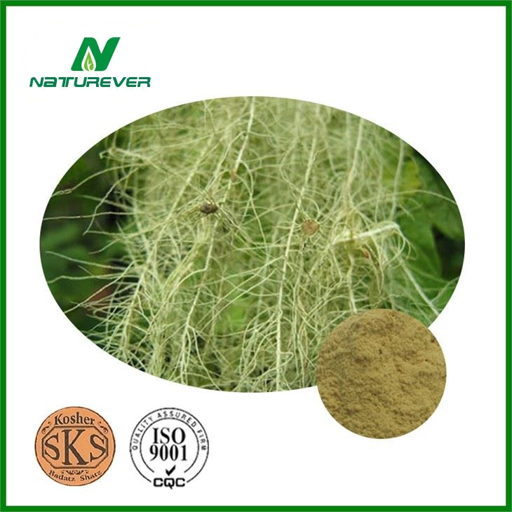 Usnic Acid Powder