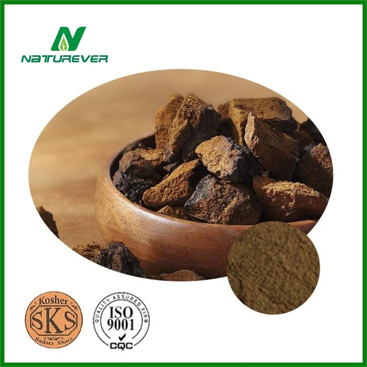 Birch Mushroom Extract
