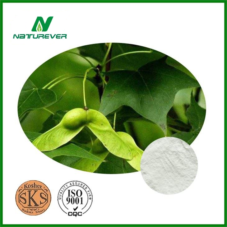 Acer Truncatum Extract