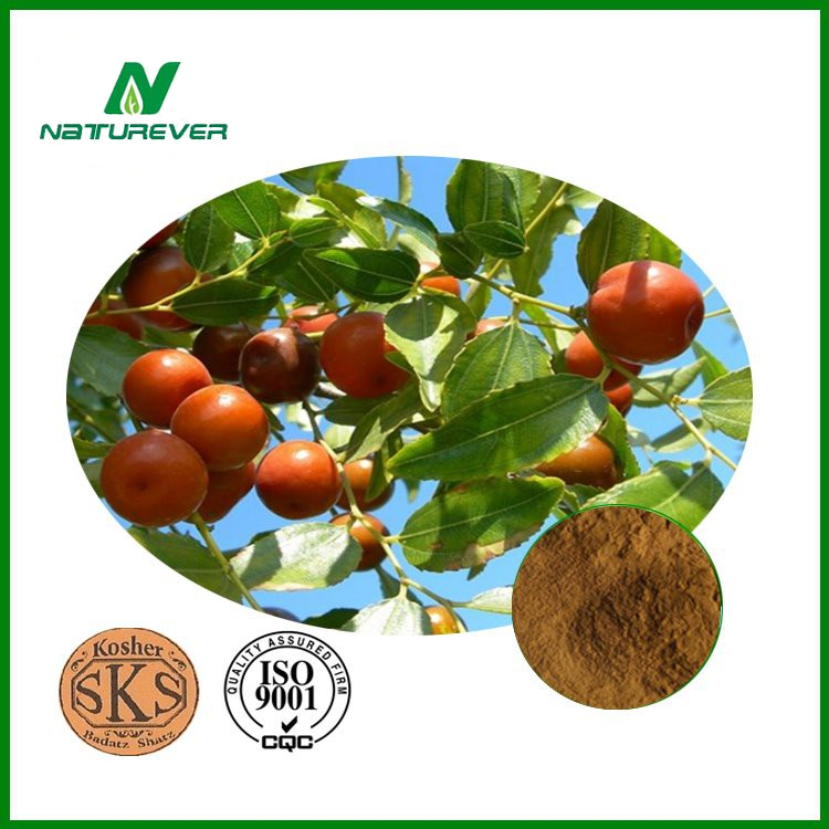 Wild Jujube Fruit Seed Extract