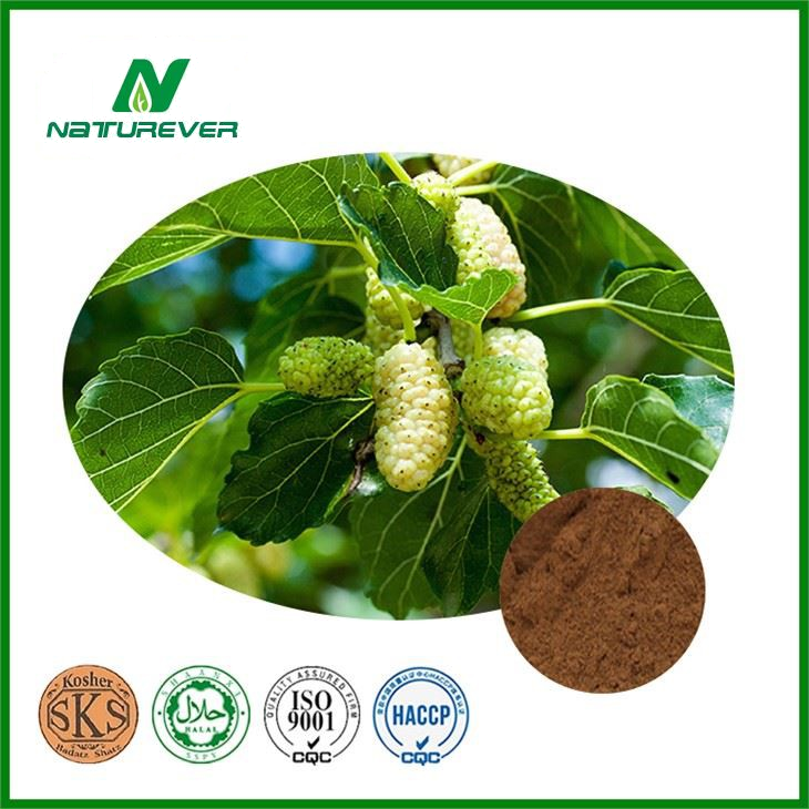 White Mulberry Root Bark Extract