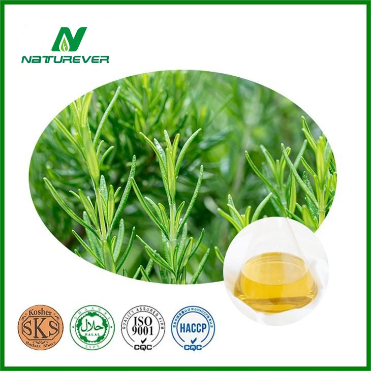 Rosemary Essential Oil yellowish volatile liquid