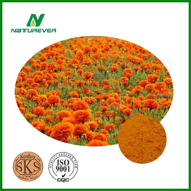 Marigold Root Extract