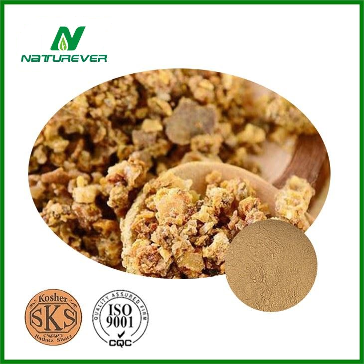 Bee Propolis Extract Powder