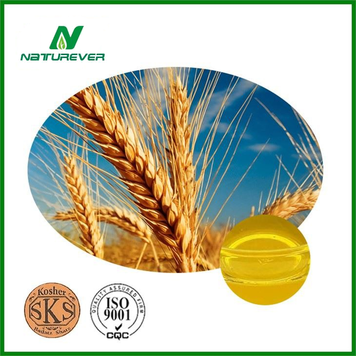 Wheat Germ Oil Powder