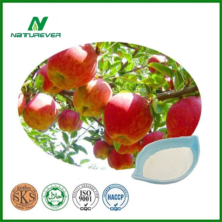 Apple Root Phloridzin