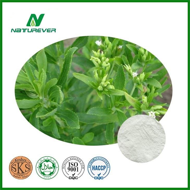 Stevia Leaf Extract Powder
