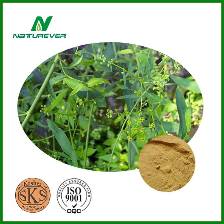 Bupleurum Extract