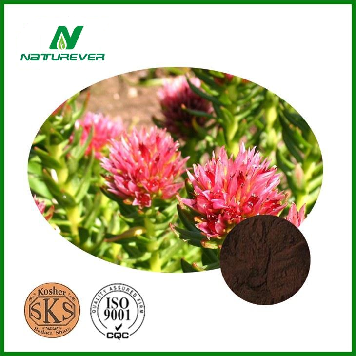 Rhodiola Extract Supplement