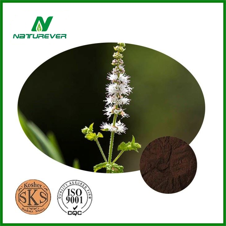Black Cohosh Extract For Menopause